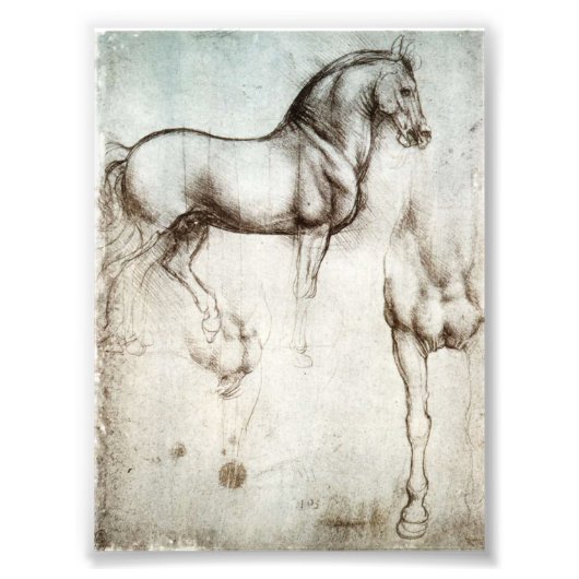 Impression Photo Cheval Da Vinci (Devant)
