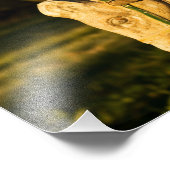 Impression Photo Cheval de châtaignes (Coin)