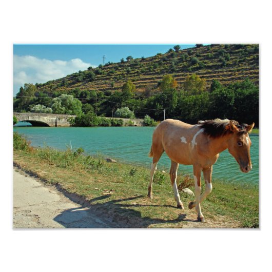 Impression Photo Cheval de Sicile (Devant)
