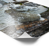 Impression Photo Cheval en deuil (Coin)