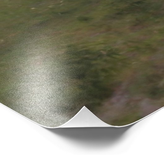 Impression Photo Cheval et cavalier dans les dunes (Coin)