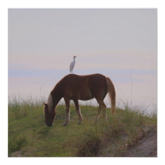 Impression Photo Cheval et cavalier dans les dunes (Devant)