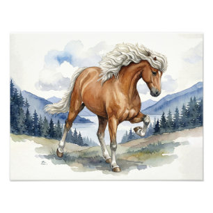 Impression Photo Cheval islandais Edda Silver bay dans les montagne