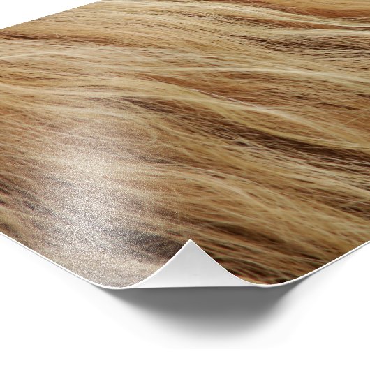 Impression Photo Cheval Mane (Coin)