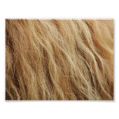 Impression Photo Cheval Mane (Devant)