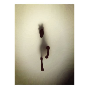 Impression Photo Cheval Minimaliste Abstrait Émergeant du Brouillar