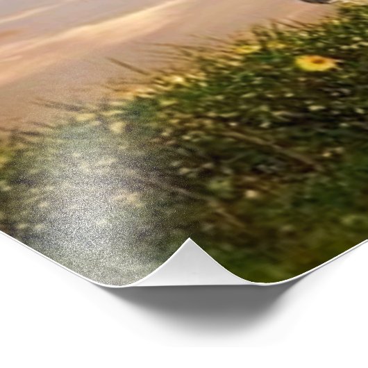 Impression Photo cheval noir (Coin)