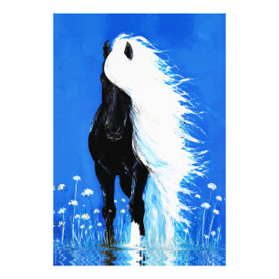 Impression Photo Cheval noir à crinière blanche marchant sur l'eau