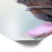 Impression Photo Cheval Thoroughbred - Nano Man (Coin)