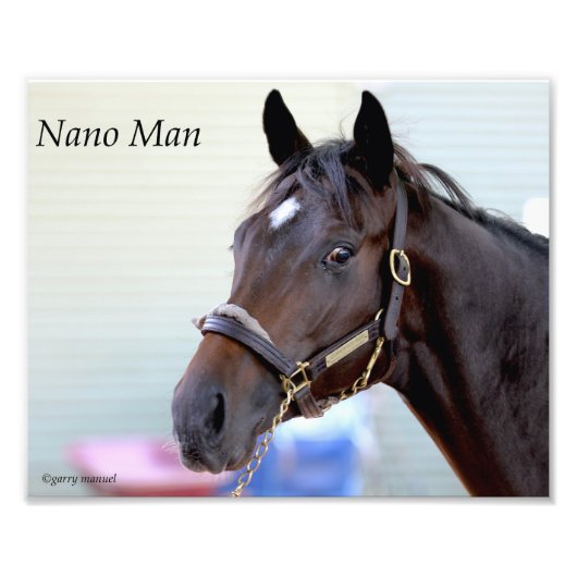 Impression Photo Cheval Thoroughbred - Nano Man (Devant)