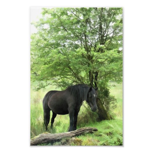 IMPRESSION PHOTO CHEVAUX (Devant)