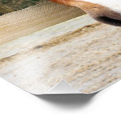 IMPRESSION PHOTO CHEVAUX (Coin)