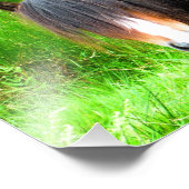 IMPRESSION PHOTO CHEVAUX (Coin)