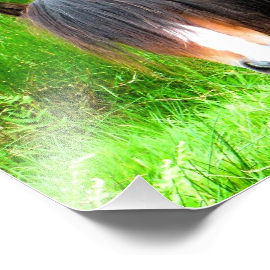 IMPRESSION PHOTO CHEVAUX (Coin)