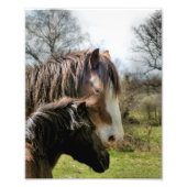 IMPRESSION PHOTO CHEVAUX (Devant)
