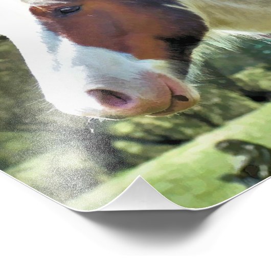 IMPRESSION PHOTO CHEVAUX (Coin)