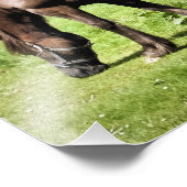 IMPRESSION PHOTO CHEVAUX (Coin)