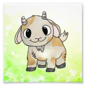 Impression Photo Chèvre (Devant)