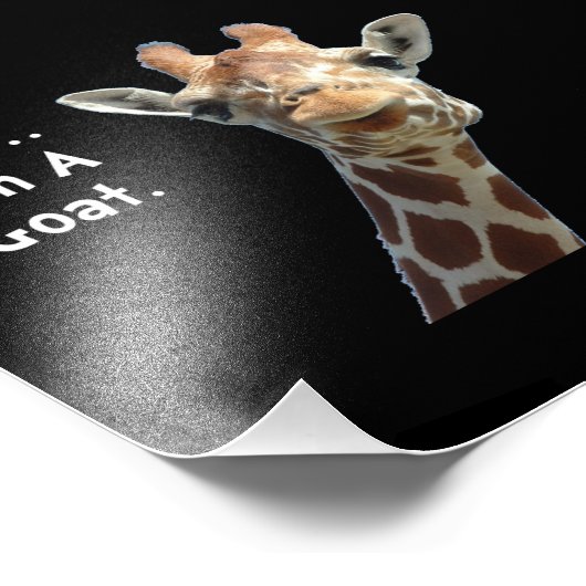 Impression Photo Chèvre Moo Giraffe (Coin)
