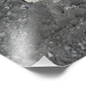 Impression Photo Chèvre porcine femelle (Coin)