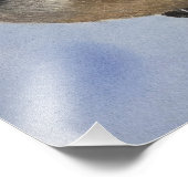 Impression Photo Chickadee dee (Coin)