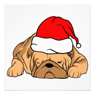 Impression Photo Chien