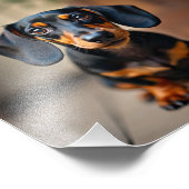 Impression Photo Chien (Coin)