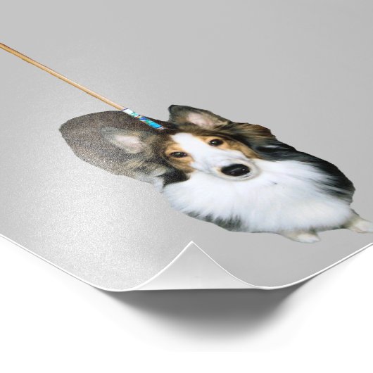 Impression Photo Chien à la broche (Coin)