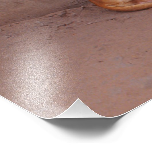 Impression Photo Chien au repos (Coin)