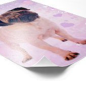 Impression Photo Chien carlin (Coin)