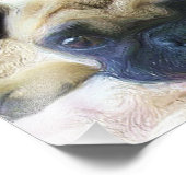 Impression Photo chien carlin (Coin)