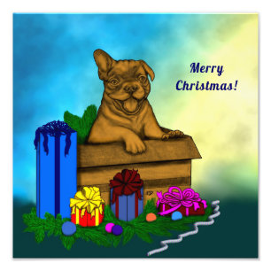 Impression Photo Chien dans une boîte, Joyeux Noël