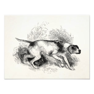 Impression Photo Chien de chasse à pointeur vintage 1800s Pointeurs