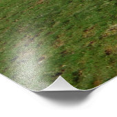 Impression Photo Chien de repérage (Coin)