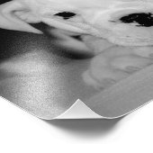 Impression Photo Chien de taule anglais "Soccer Puppy" (Coin)