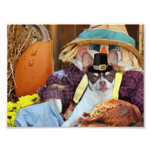 Impression Photo Chien de Thanksgiving Chihuahua (Devant)