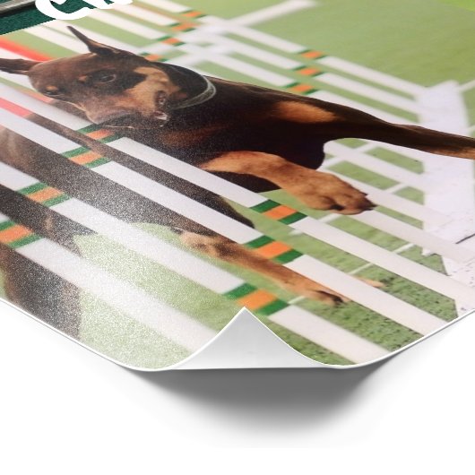 Impression Photo Chien de travail (Coin)