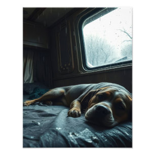 Impression Photo Chien endormi dans un camping-car de rêve