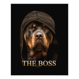 Impression Photo Chien Rottweile