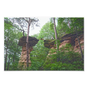 Impression Photo Chien sautant de Stand Rock dans Wisconsin Dells