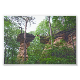Impression Photo Chien sautant de Stand Rock dans Wisconsin Dells
