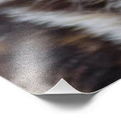 Impression Photo Chien sauvage africain (Chien peint) (Coin)