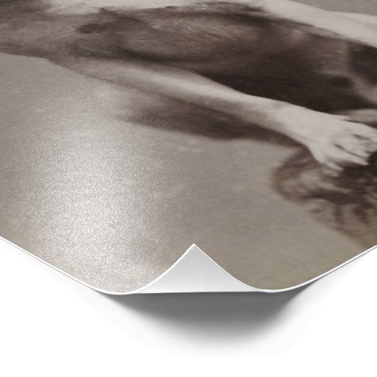 Impression Photo Chien vintage (Coin)