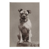Impression Photo Chien vintage (Devant)