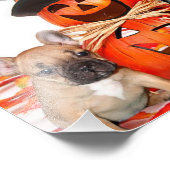 Impression Photo Chiens de taureaux français d'Halloween (Coin)
