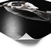 Impression Photo Chihuahua (Coin)