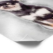 Impression Photo Chihuahua Chiuppy assis | Décor animal mignon (Coin)