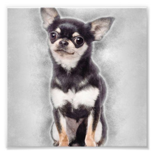 Impression Photo Chihuahua Chiuppy assis | Décor animal mignon (Devant)