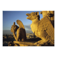 Chimère, cathédrale Notre-Dame, Paris, France