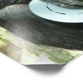 IMPRESSION PHOTO CHIMPANZEE (Coin)